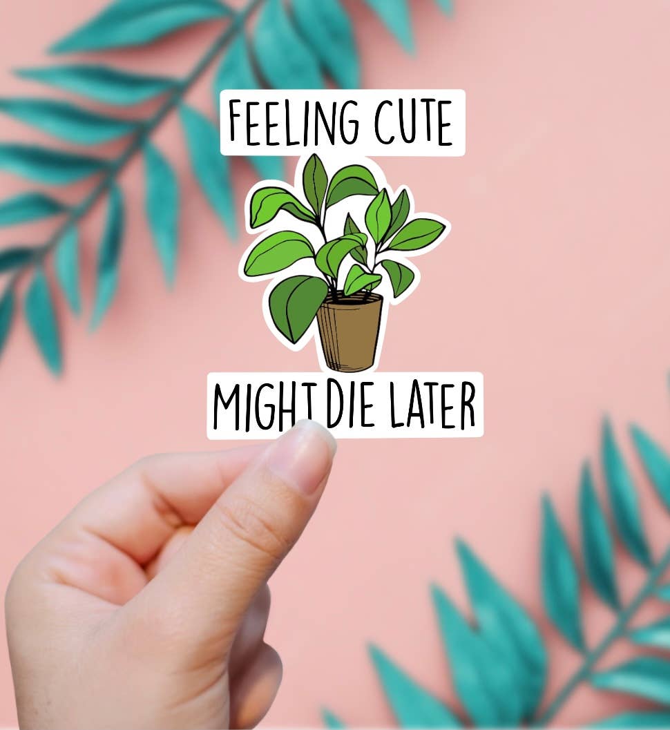 Feeling Cute Might Die Later