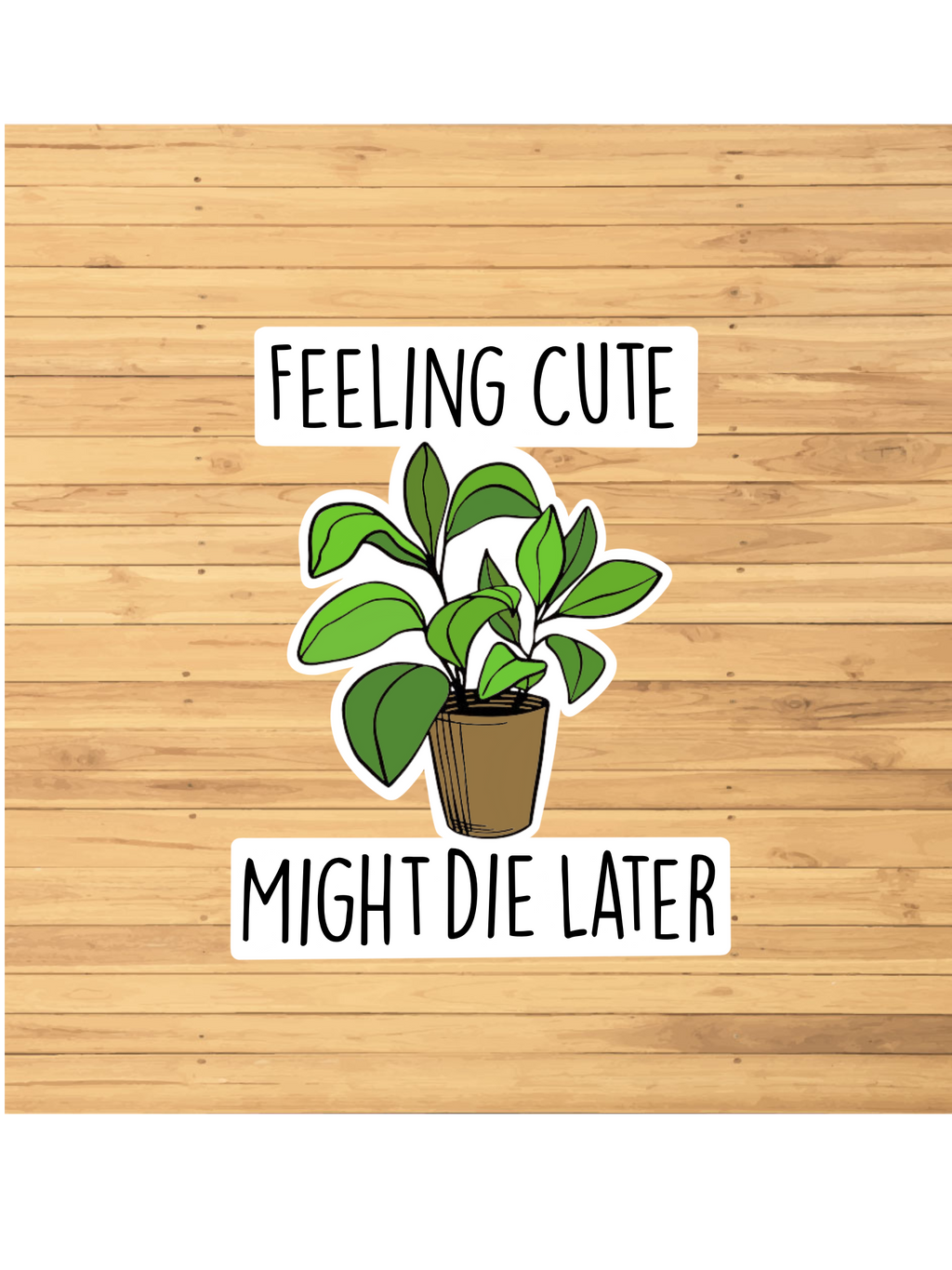 Feeling Cute Might Die Later