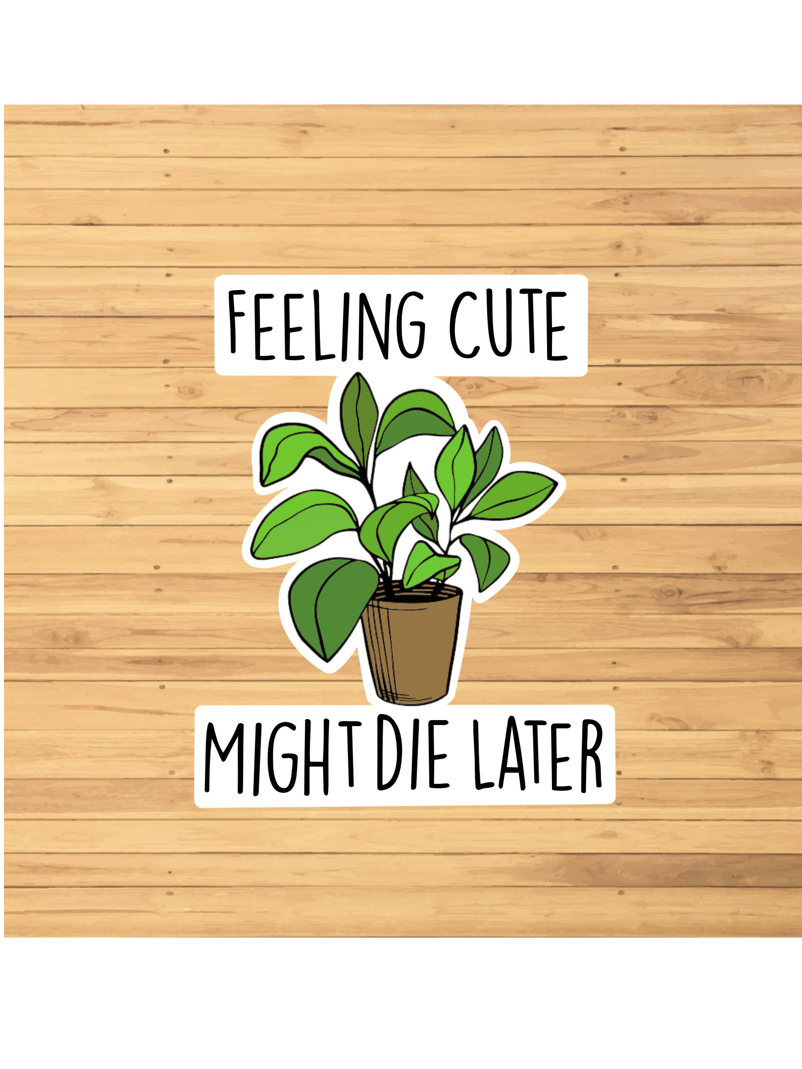Feeling Cute Might Die Later